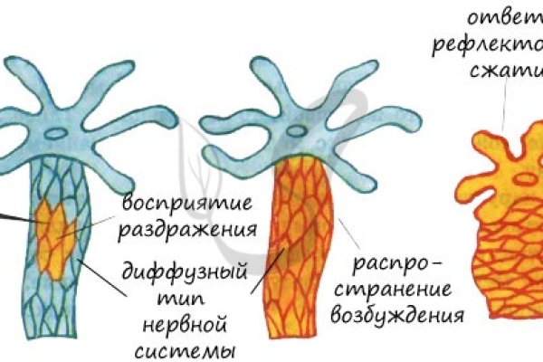 Kra32.at